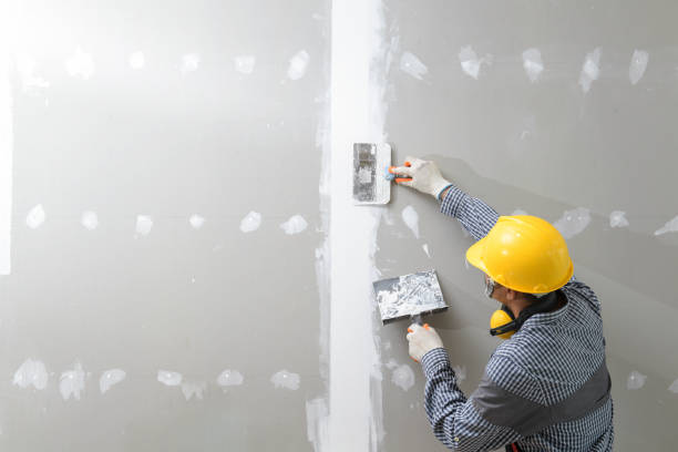 Best Commercial Mold Inspection  in Tarkio, MO